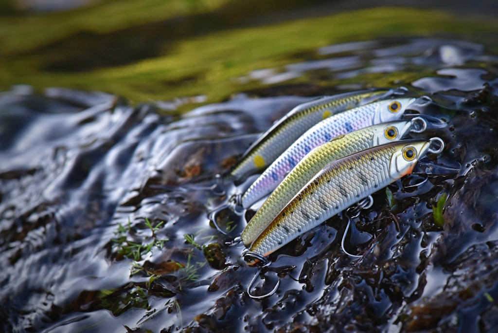 peche aux leurres moniteur guide de peche